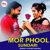 About Mor Phool Sundari Song