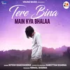 About Tere Bina Main Kya Bhalaa Song