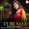 About Turi No 1 Song