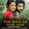 About Tor Bina Ab Jivav Nah Song
