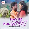 About Hay Re Ful Gobhi Song