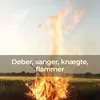 About Døber, sanger, knægte, flammer Song