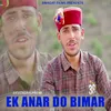 About Ek Anar Do Bimar Song