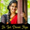 About Ye Turi Diwani Hoge Song