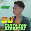 About Cinta Tak Direstui DJ Song