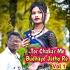 About Tor Chakar Me Budhaye Jatho Re, Vol. 01 Song