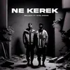 About Ne Kerek Song