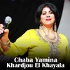 About Khardjou El Khayala Song