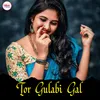 About Tor Gulabi Gal Song