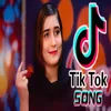 About Tik Tok Song Song