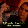 About Dragoste toxicitate Song