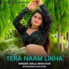 About Tera Naam Likha Song