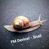 About Snail Song
