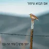 About אם תבוא ציפור Song