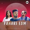 About Pahari EDM Song