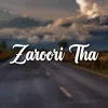 About Zaroori Tha Song