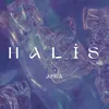 About Halis Song