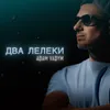 About Два лелеки Song