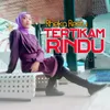 About Tertikam Rindu Song