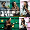 About Paikkurumbiye Meykkum Song