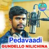 About Pedavaadi Gundello Nilichina Song