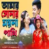 About amar shonar moina pakhi Song