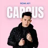 About Capcus Song