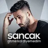 About Gitme Kal Diyemedim Song