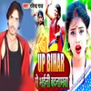 About Up Bihar Me Bhaini Badnaam Song