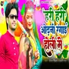 About Hari Hari Odhani Rangai Holi Me Song