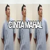 About CINTA MAHAL Song