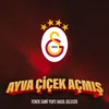 About Ayva Çiçek Açmış Song