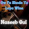 About Ow Pa Shodo Ye Loya Wina Song