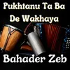 About Pukhtanu Ta Ba De Wakhaya Song
