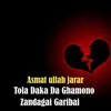 Tola Daka Da Ghamono Zandagai Garibai