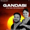 About Gandasi Song