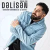 About Dəlisən Song