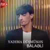 About Yadıma Düşmüsən Song