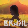 About BRASIL Song