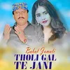 About Tholi Gal Te Jani Song