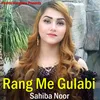About Rang Me Gulabi Song