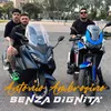 About Senza Dignità Song