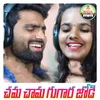 About Chama Chama Gugaara Jodi Song