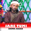 About jare Tumi Song