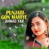 Punjabi Gon Mahiye