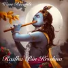 About Radha Bin Krishna Song
