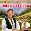 About Iară fulgeră și tună Song