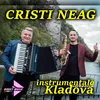 Instrumentală sârbească