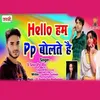 About Hello Ham Pp Bolte Hai Song