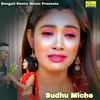 About Sudhu Miche Song